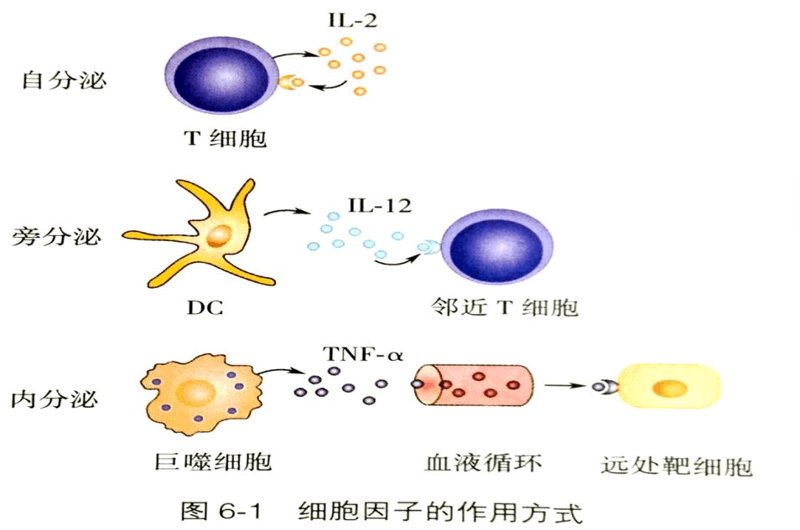在选择生物技术考研方向时,不同学校的特色和优势各不相同。本文将通过对比分析,帮助你找到最适合自己的研究路径。