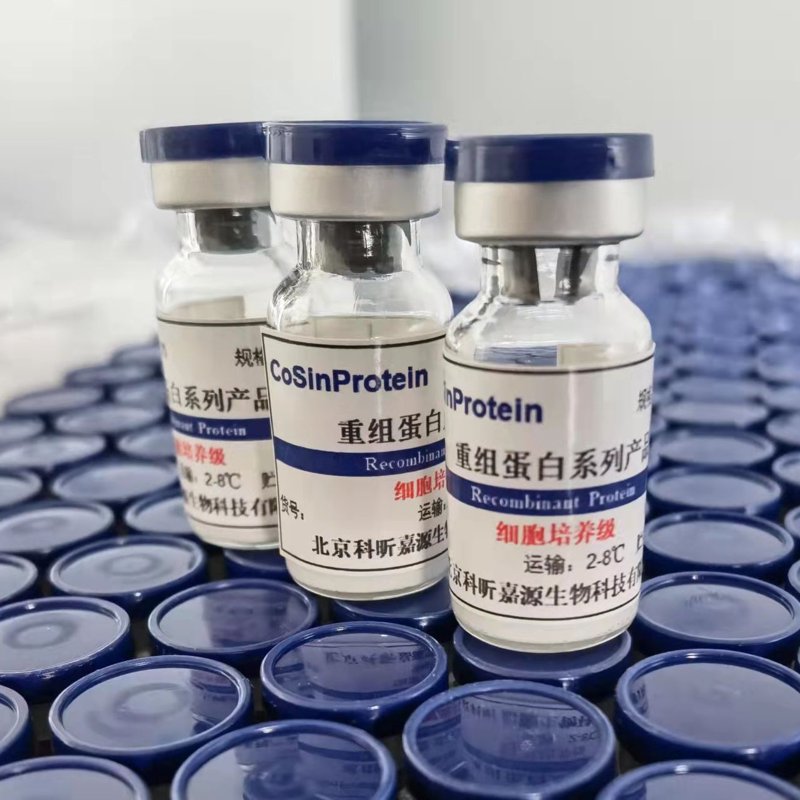 生物技术考研方向及学校选择:全面解析