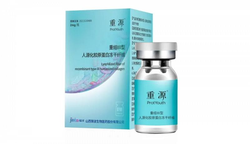 技术服务费合同范本解析:如何保障双方权益