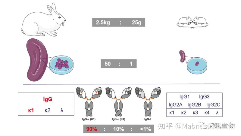 生物技术考研方向及学校选择:如何做出明智决定