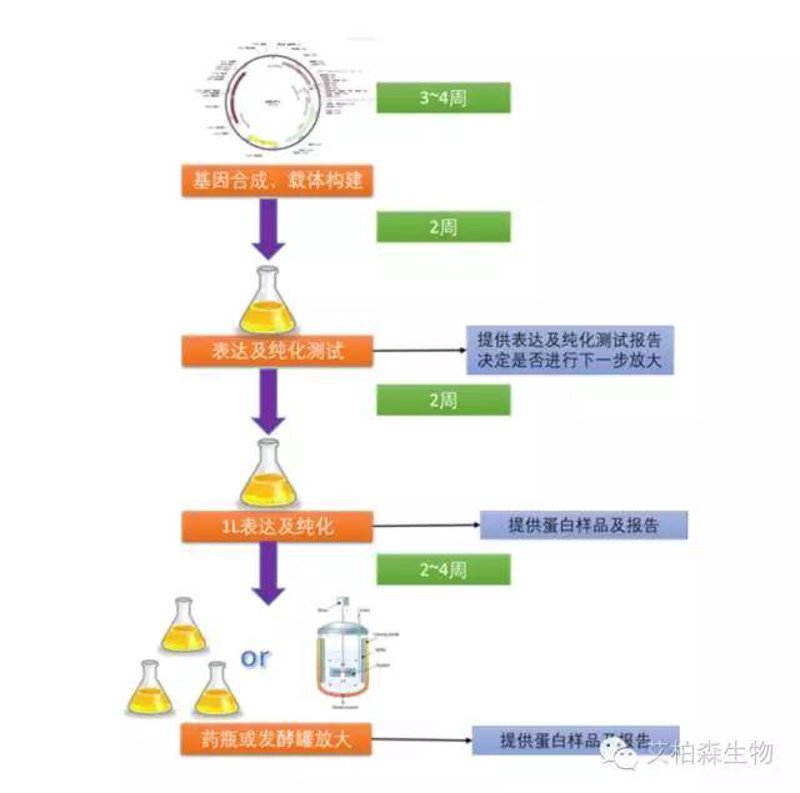 检验检疫技术中心:未来趋势与发展方向解析
